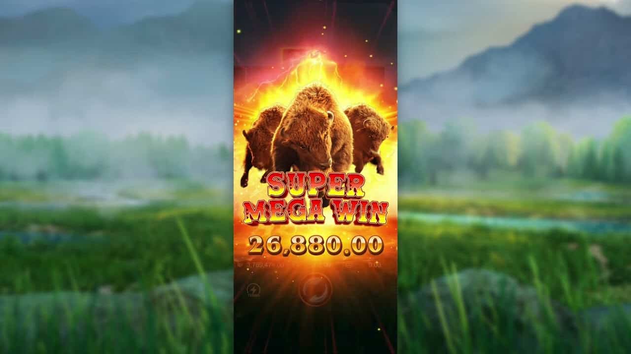 Raih Kejutan Seru di Alam Liar Amerika Dalam Buffalo Win 2025