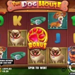 Petualangan Lucu Bersama Anjing Kesayangan di The Dog House